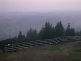 20 : 49