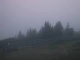 20 : 53