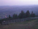 21 : 25