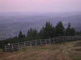 06 : 01