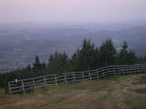 06 : 13