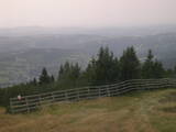 14 : 49