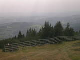 16 : 25