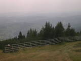 16 : 29