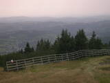 17 : 01