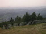 17 : 17