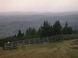 17 : 29
