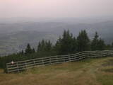 17 : 49