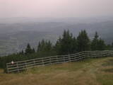 17 : 53