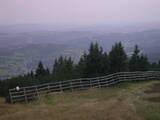 19 : 25