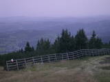 19 : 41