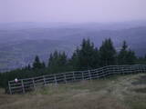 19 : 45