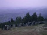 19 : 49