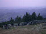 19 : 53