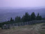 19 : 57