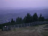20 : 05