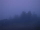 05 : 45