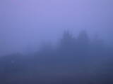 05 : 49
