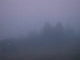 06 : 01