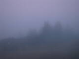06 : 05