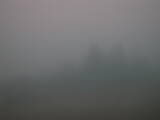 06 : 33