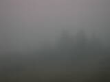 06 : 41