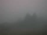 06 : 49