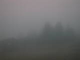 07 : 05