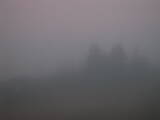 07 : 33