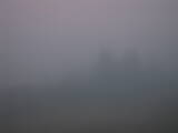 07 : 41