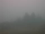 08 : 09
