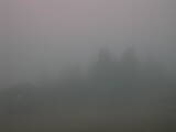 08 : 17