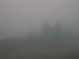 08 : 29