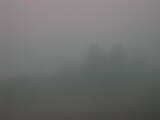 08 : 33