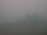 08 : 41