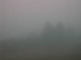 08 : 49
