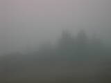 09 : 05