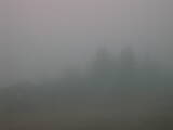 09 : 13