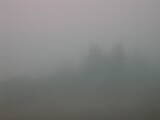 09 : 29