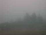 09 : 33