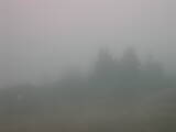 09 : 37