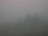 09 : 49