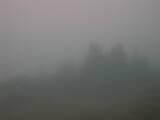 10 : 17