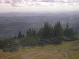 16 : 29