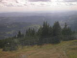 16 : 33