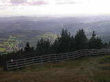 17 : 25