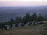 19 : 45