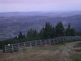 06 : 05