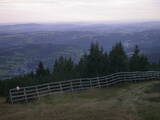 06 : 49