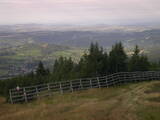 07 : 41